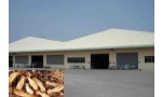 Chia sẻ cách sử lí nhà xưởng chế biến hạt điều khi bị mối xâm nhập